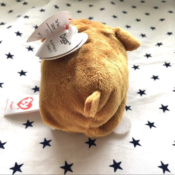 ♦️(SOLD)♦️Teeny Tys Diggs the Boxer Mini Plush NWT - Picture 5 of 5